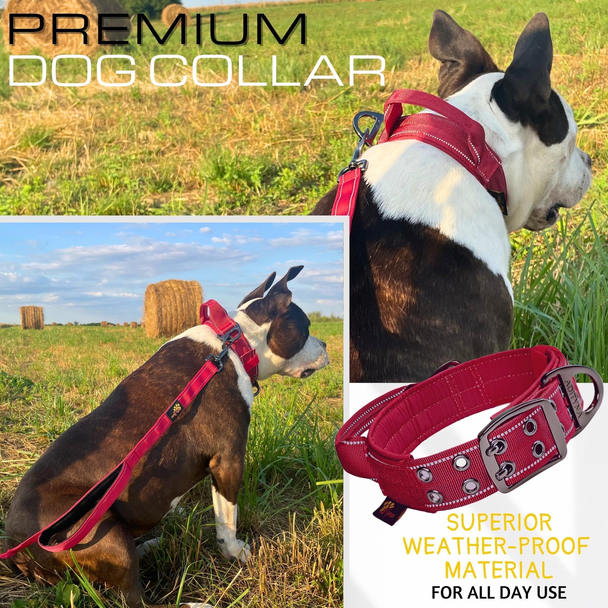 ADITYNA heavy-duty D-ring supports strong leash attachments