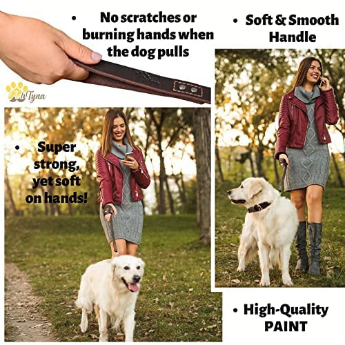 ADITYNA heavy-duty leash for large dogs showing durability on walks.