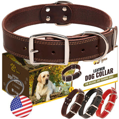 ADITYNA heavy-duty leather dog collar with double-buckle for secure daily walks.