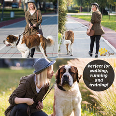 ADITYNA leash on a large breed during an outdoor walk for control
