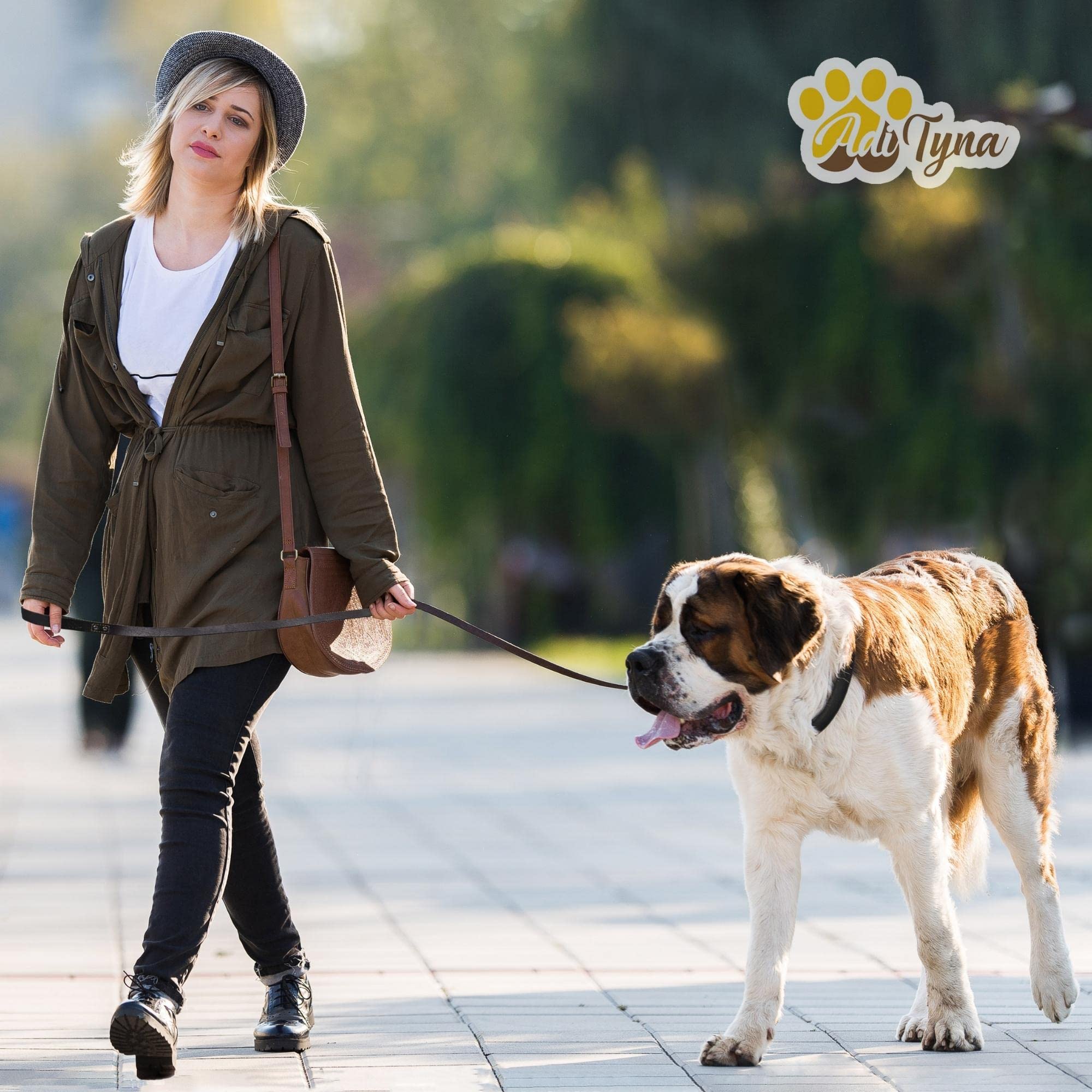 ADITYNA leash shown during a walk with a large breed.