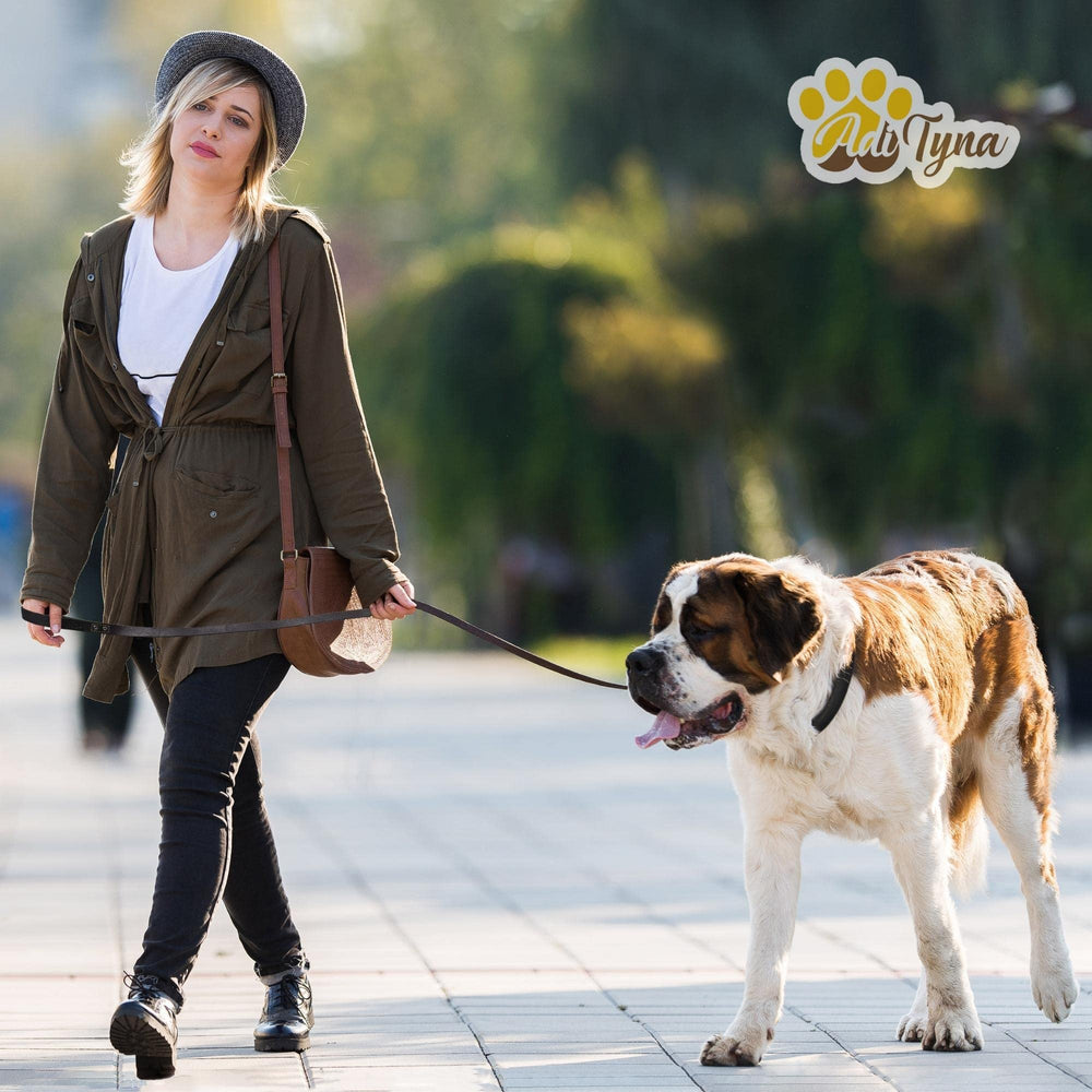 ADITYNA leash shown during a walk with a large breed.