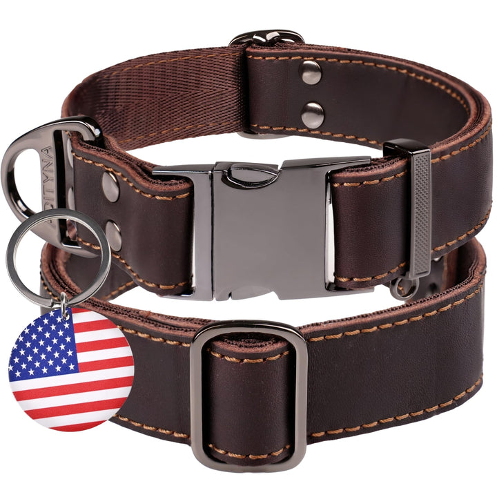 ADITYNA Leather Collar buckle closeup shows durable hardware for daily walks.