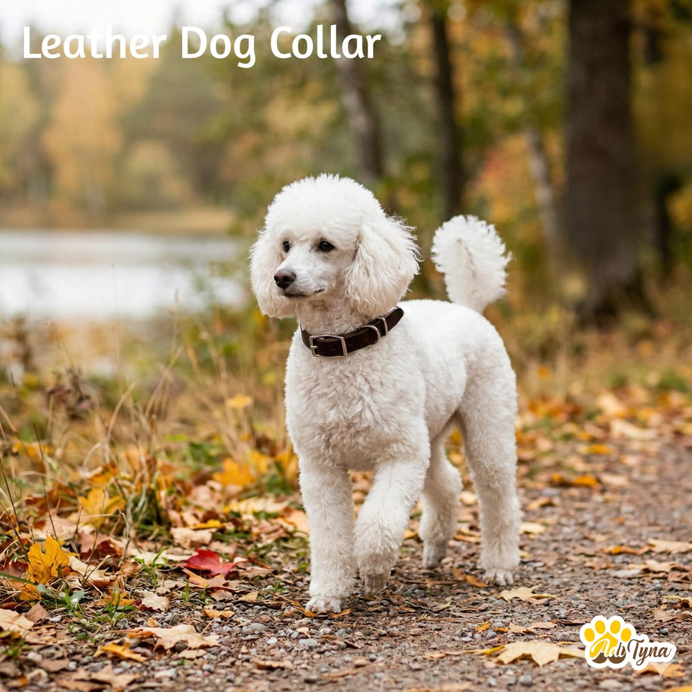ADITYNA leather dog collar medium brown strap detail for comfortable wear.