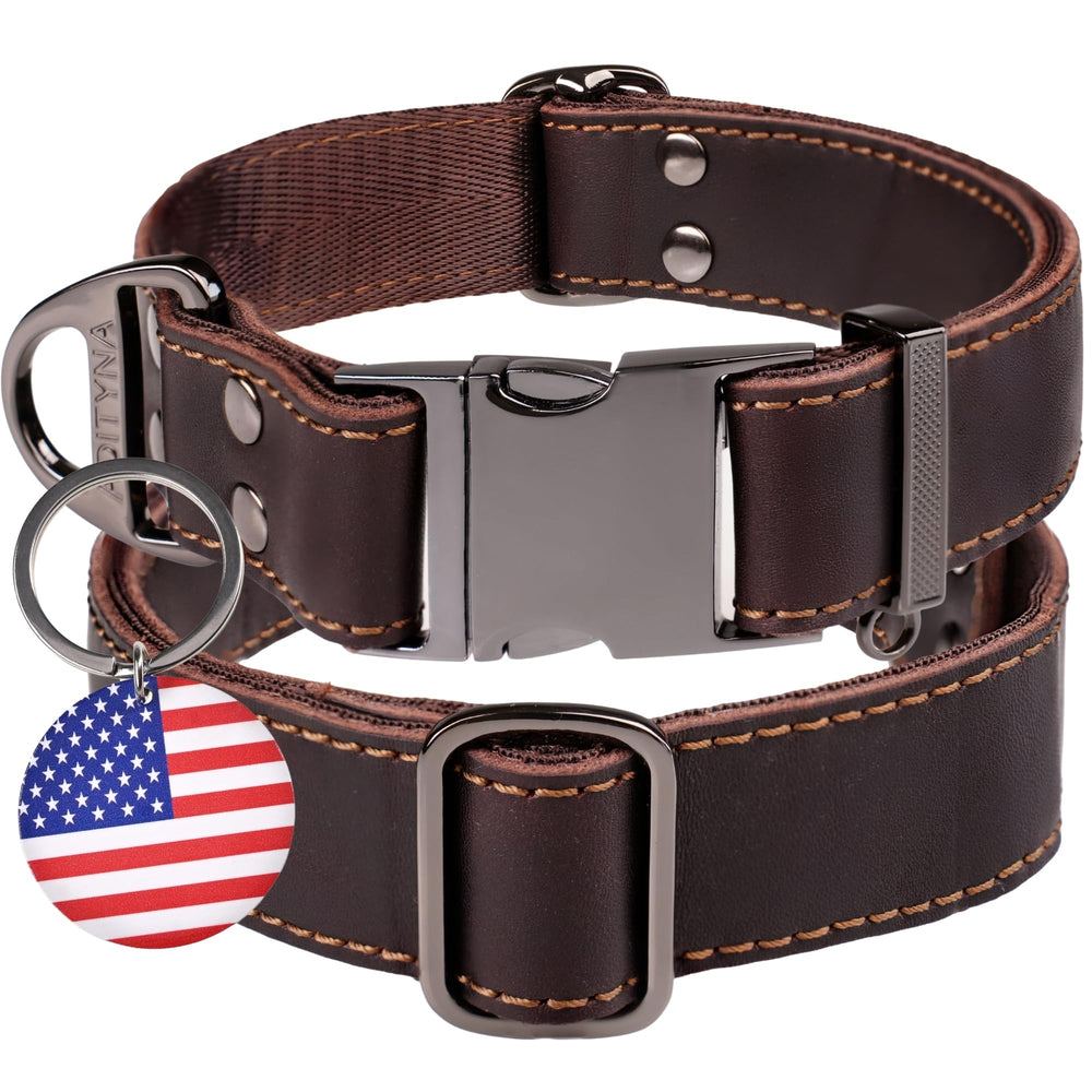 ADITYNA leather dog collar with metal buckle for heavy-duty use and adjustable fit during walks.