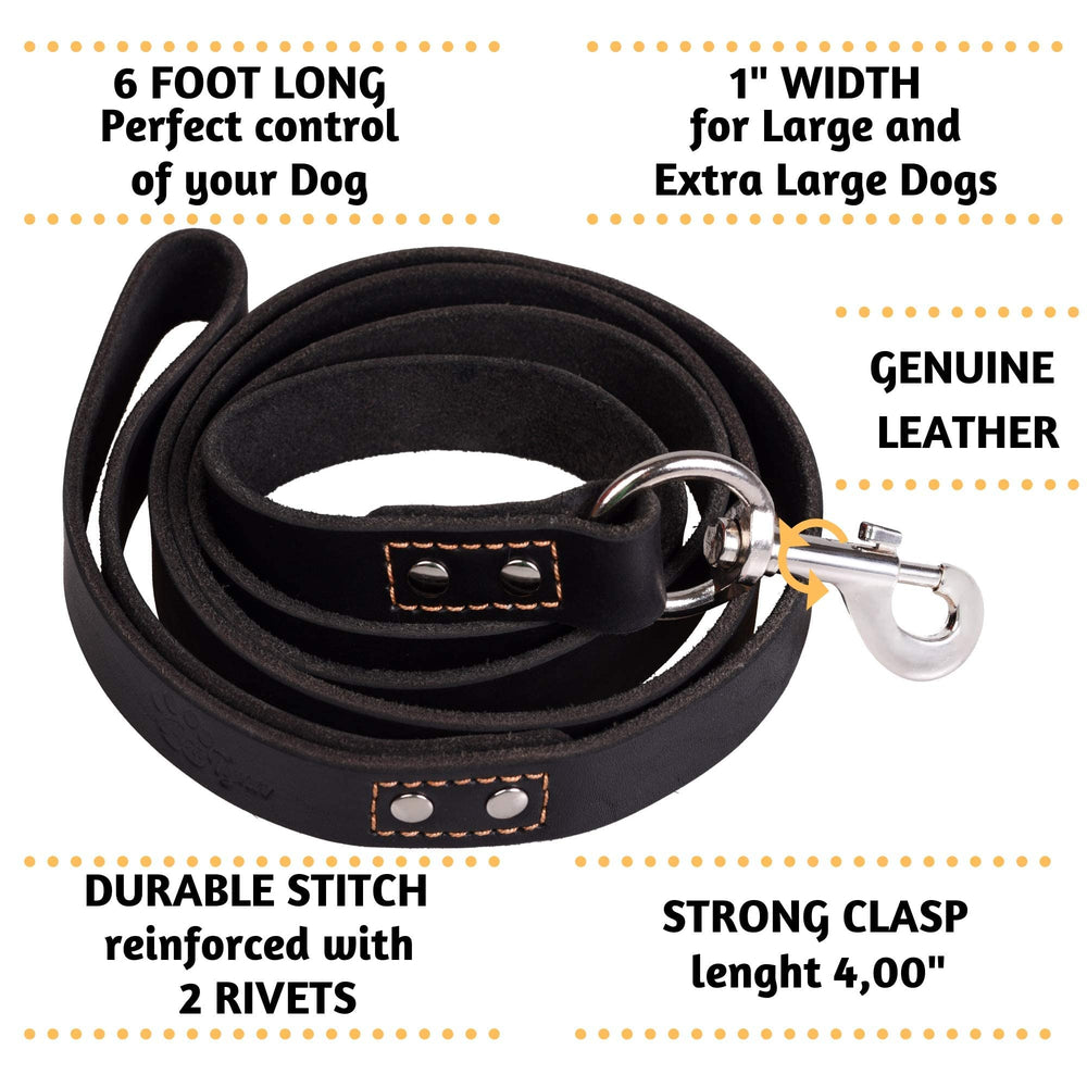 ADITYNA leash stitch detail highlighting premium craftsmanship.