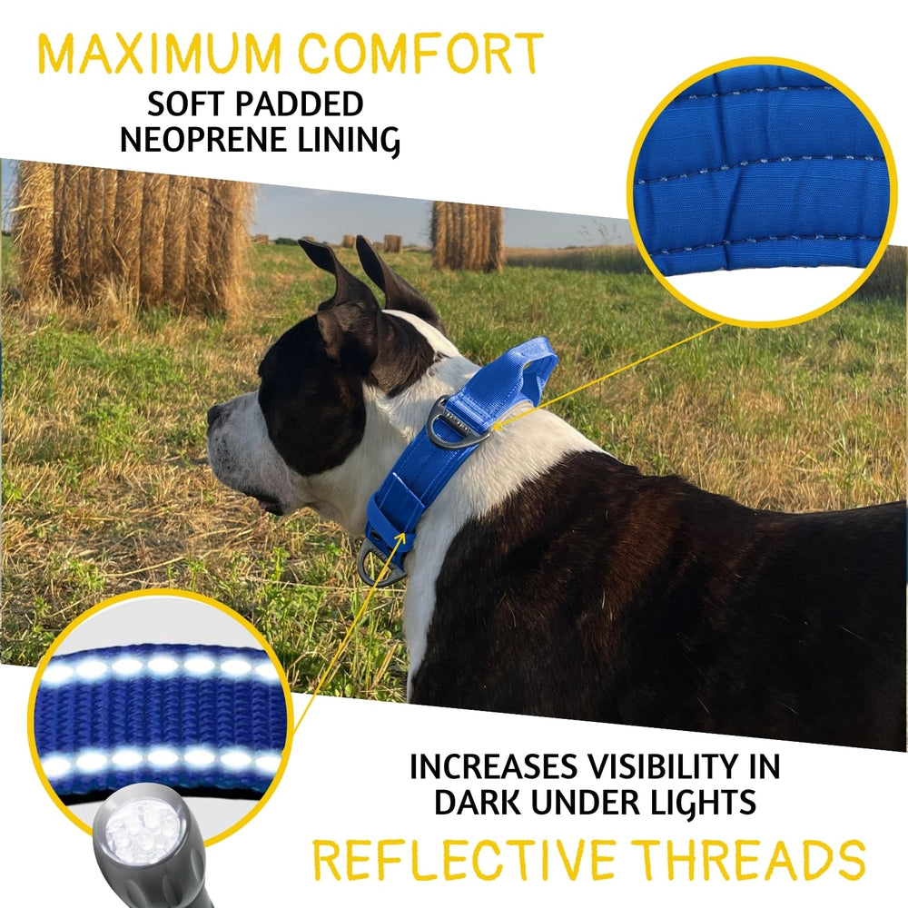 ADITYNA neoprene-padded collar delivers soft comfort and reduces chafing on long wear