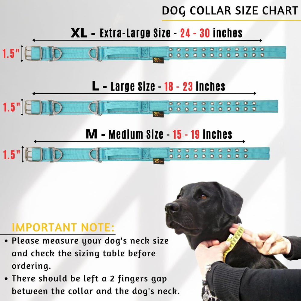 ADITYNA neoprene-padded collar minimizes chafing during active play.