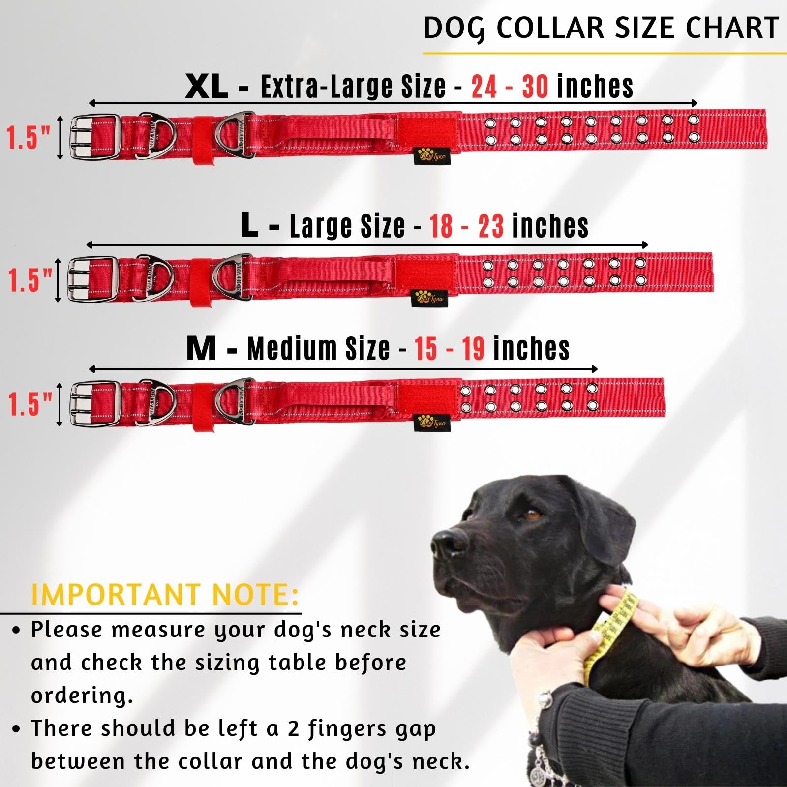 ADITYNA red collar with handle for training and controlled walking
