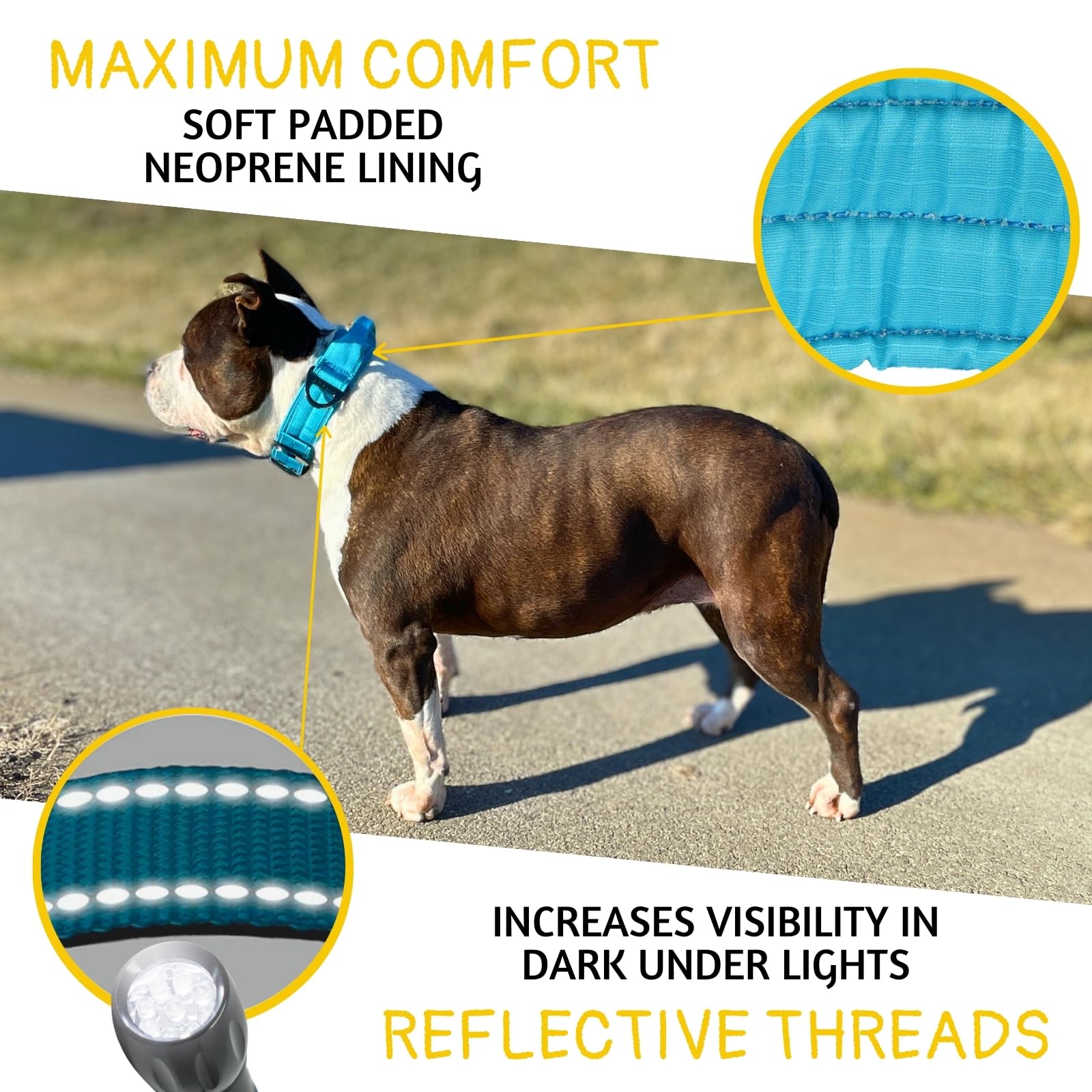 ADITYNA reflective stitching on collar improves nighttime visibility.