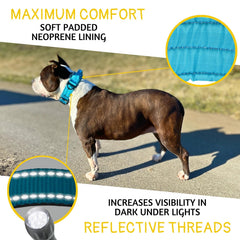 ADITYNA reflective stitching on collar improves nighttime visibility.