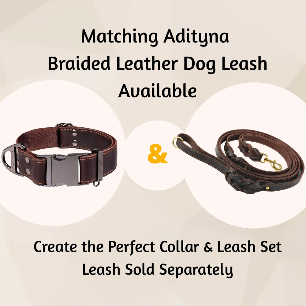 ADITYNA Robust collar construction suits active dogs.