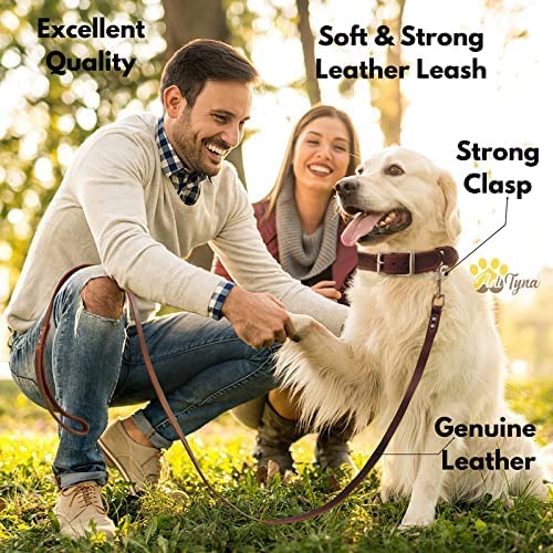 ADITYNA soft leather handle for a comfortable grip when your dog pulls.