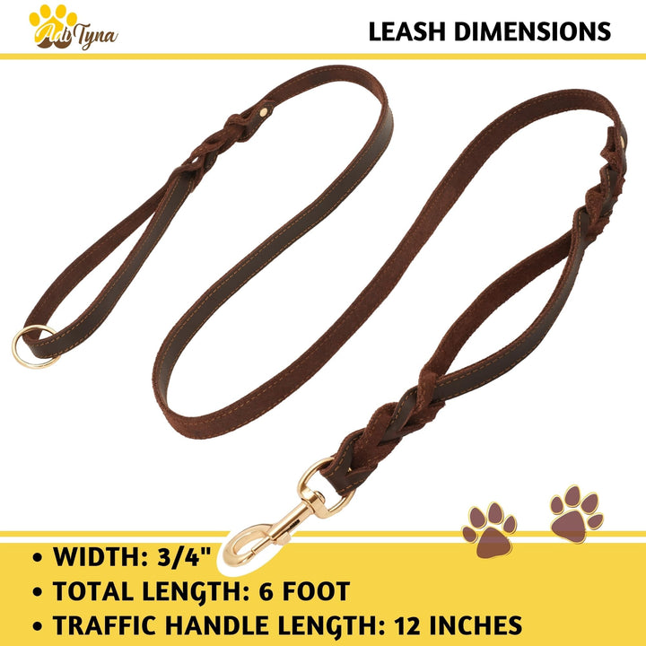 ADITYNA traffic-handle leash enables quick control in crowded areas.