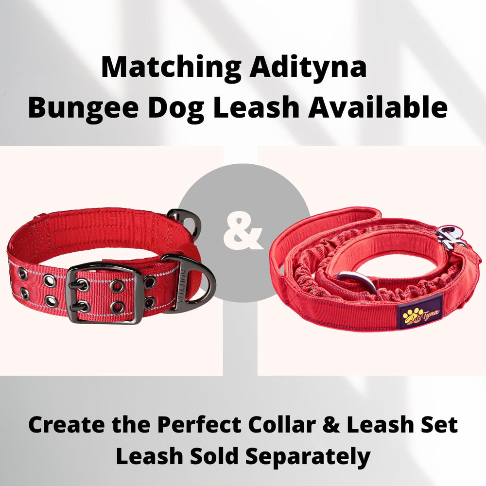 ADITYNA training and walking collar with handle for easy control