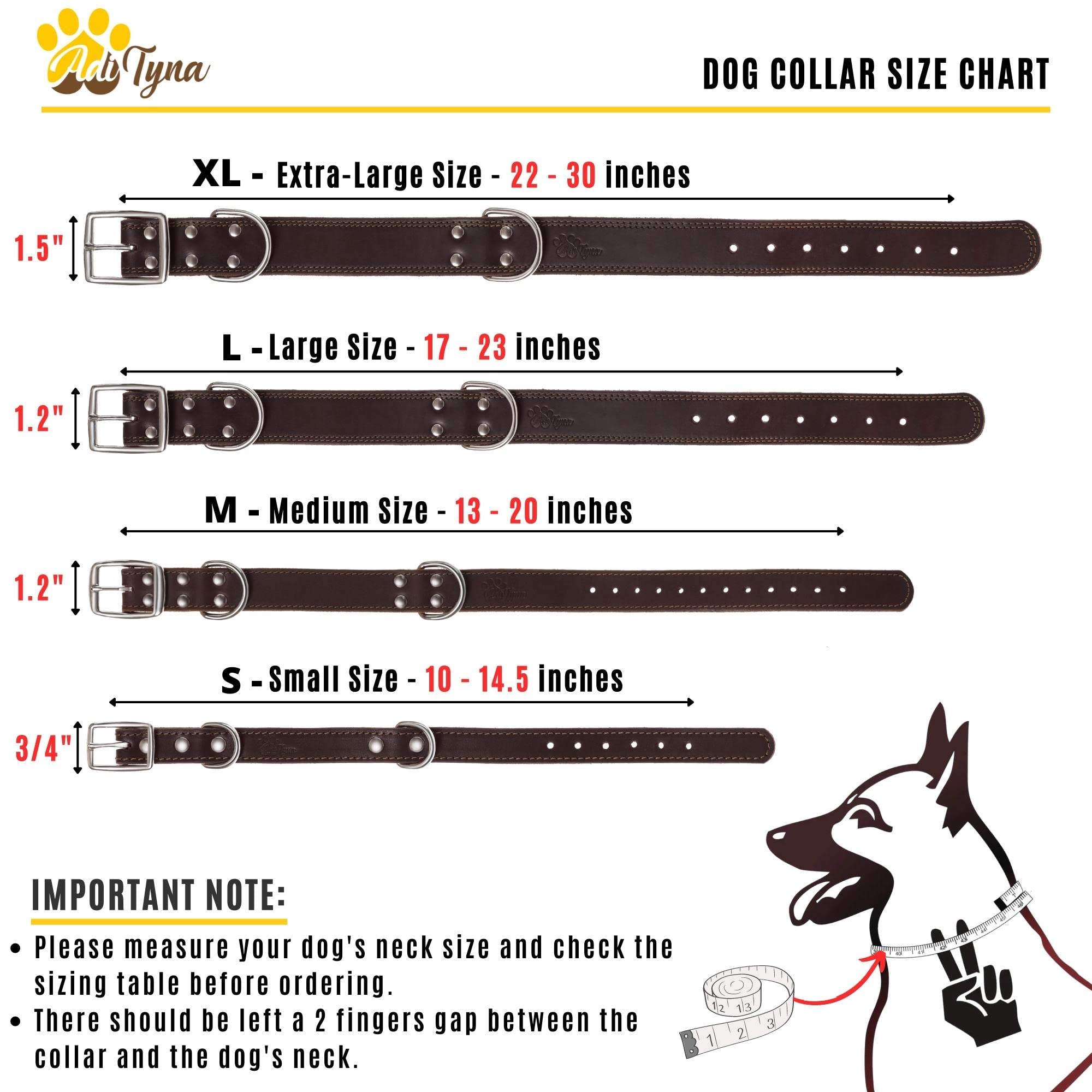 ADITYNA collar featuring two D-rings for versatile leash options during training.