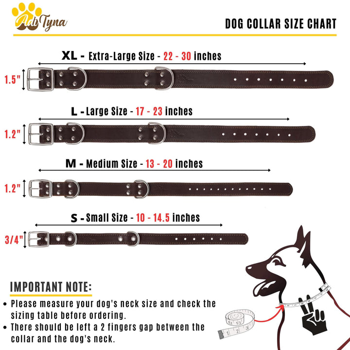 ADITYNA collar featuring two D-rings for versatile leash options during training.