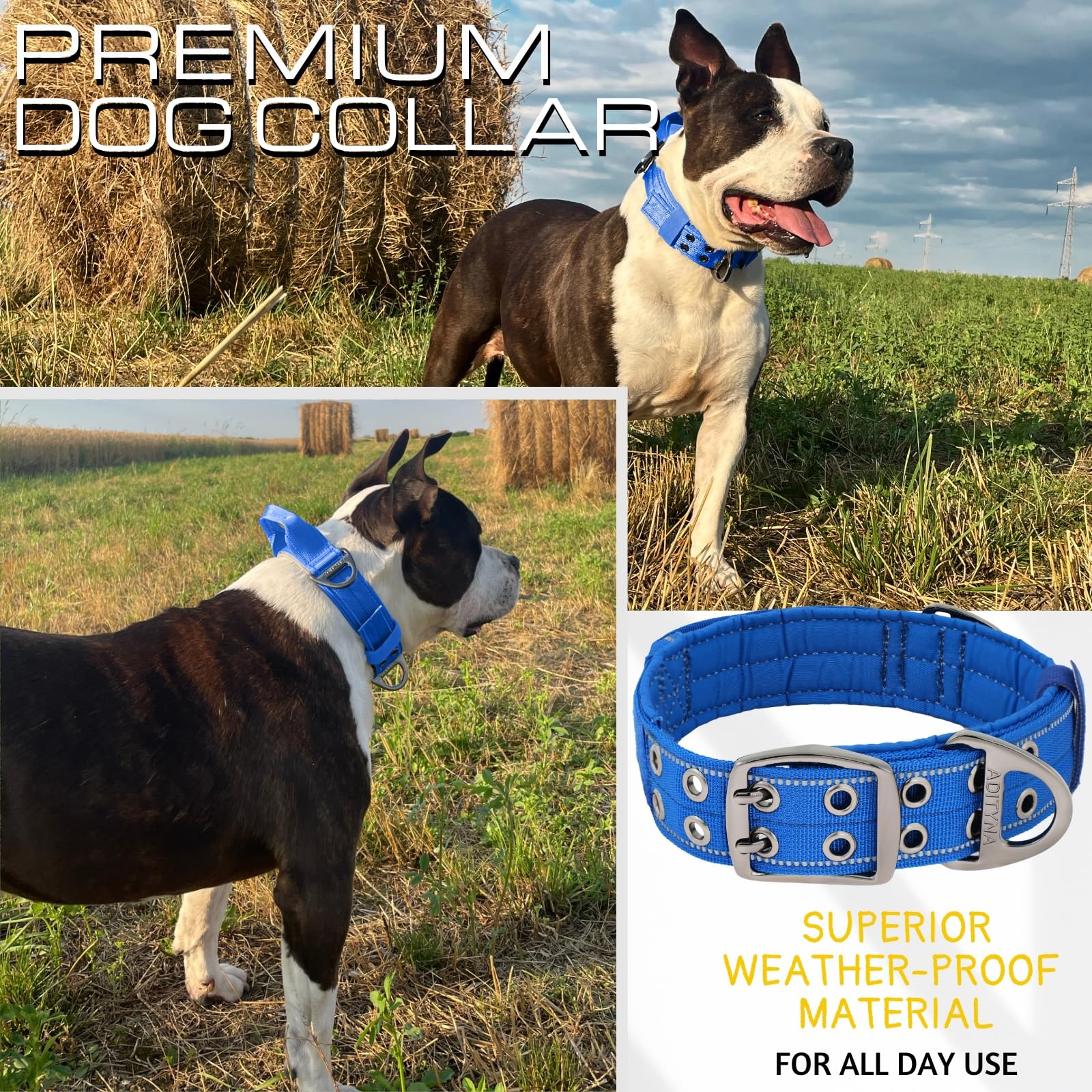 ADITYNA weather-resistant collar endures rain, mud, and outdoor adventures with durability