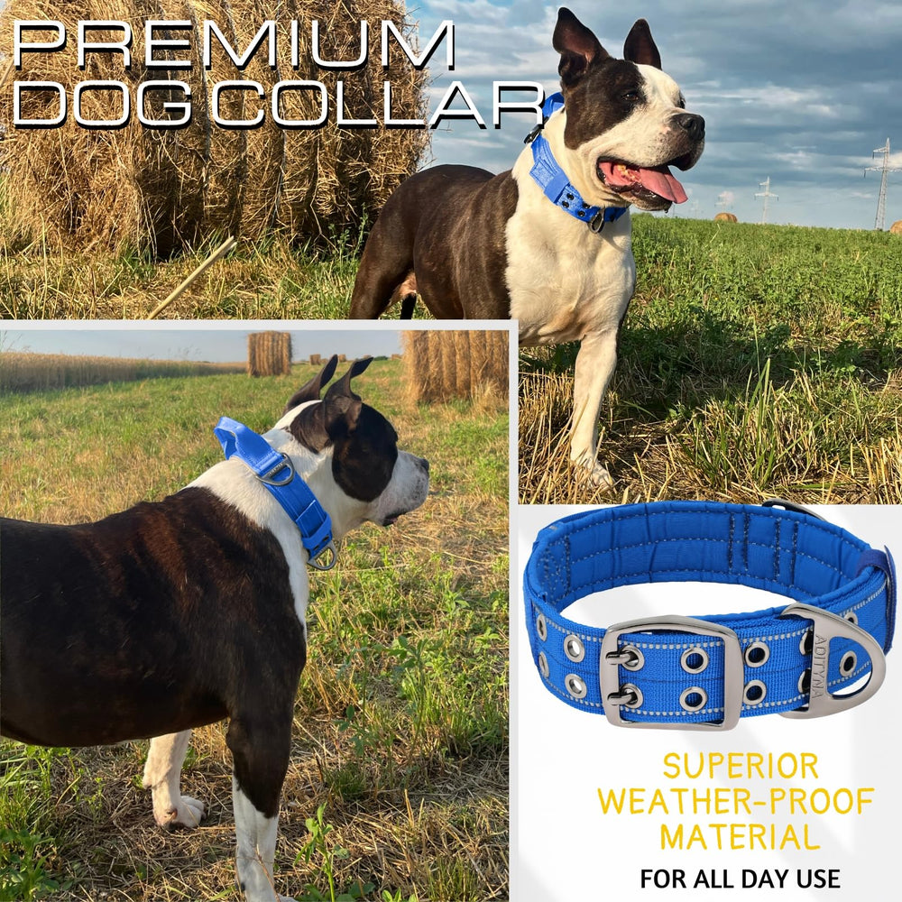 ADITYNA weather-resistant collar endures rain, mud, and outdoor adventures with durability