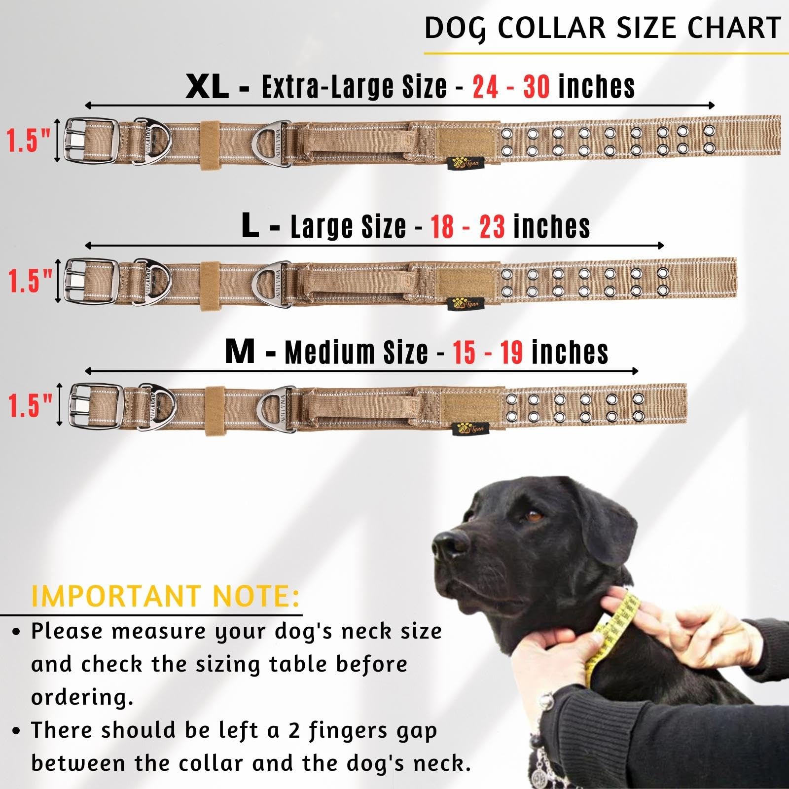 ADITYNA wide 1.5 inch collar adds comfort during running and play
