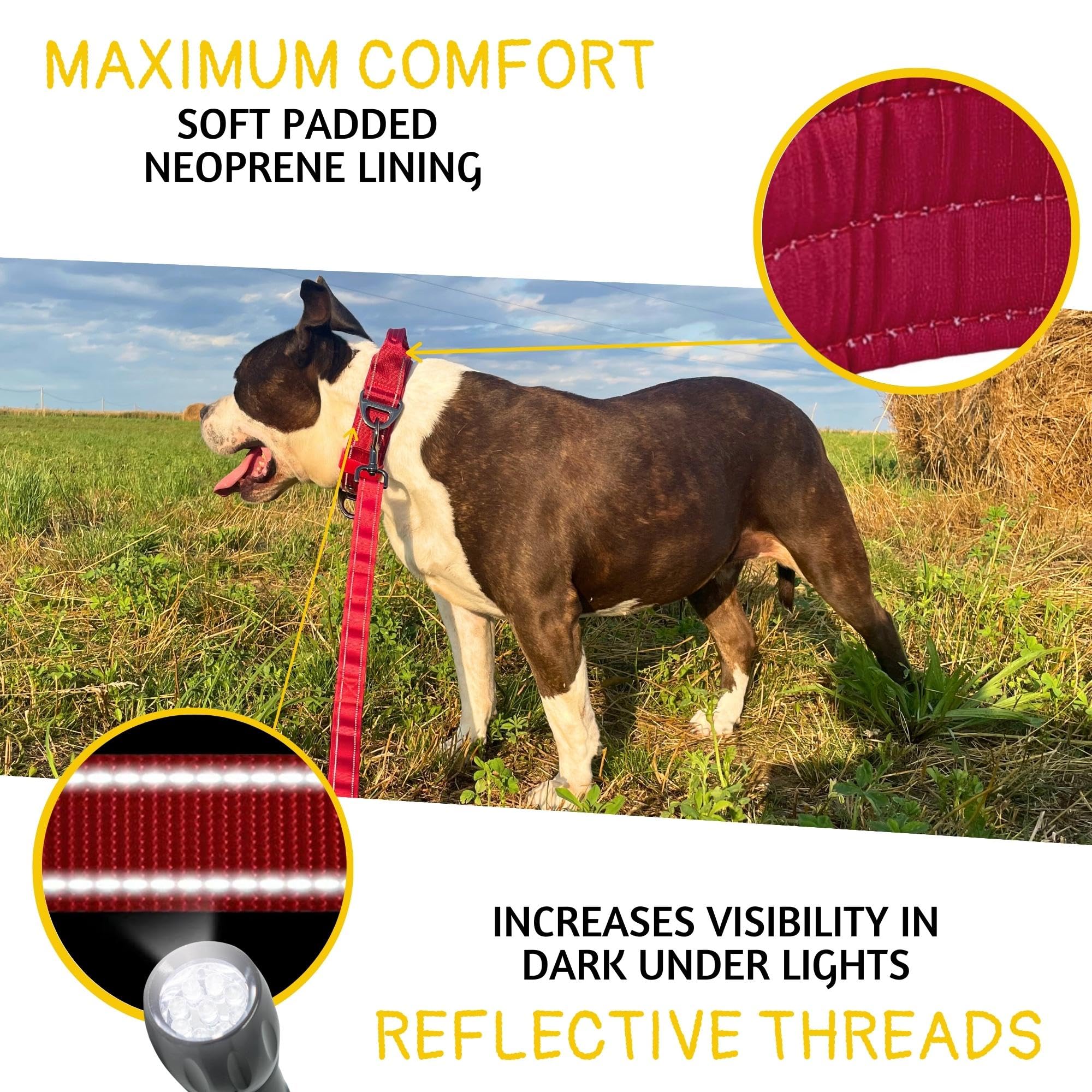 ADITYNA 1.5-inch wide collar for secure, comfortable fit