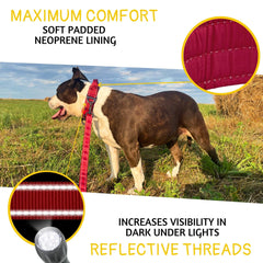 ADITYNA 1.5-inch wide collar for secure, comfortable fit