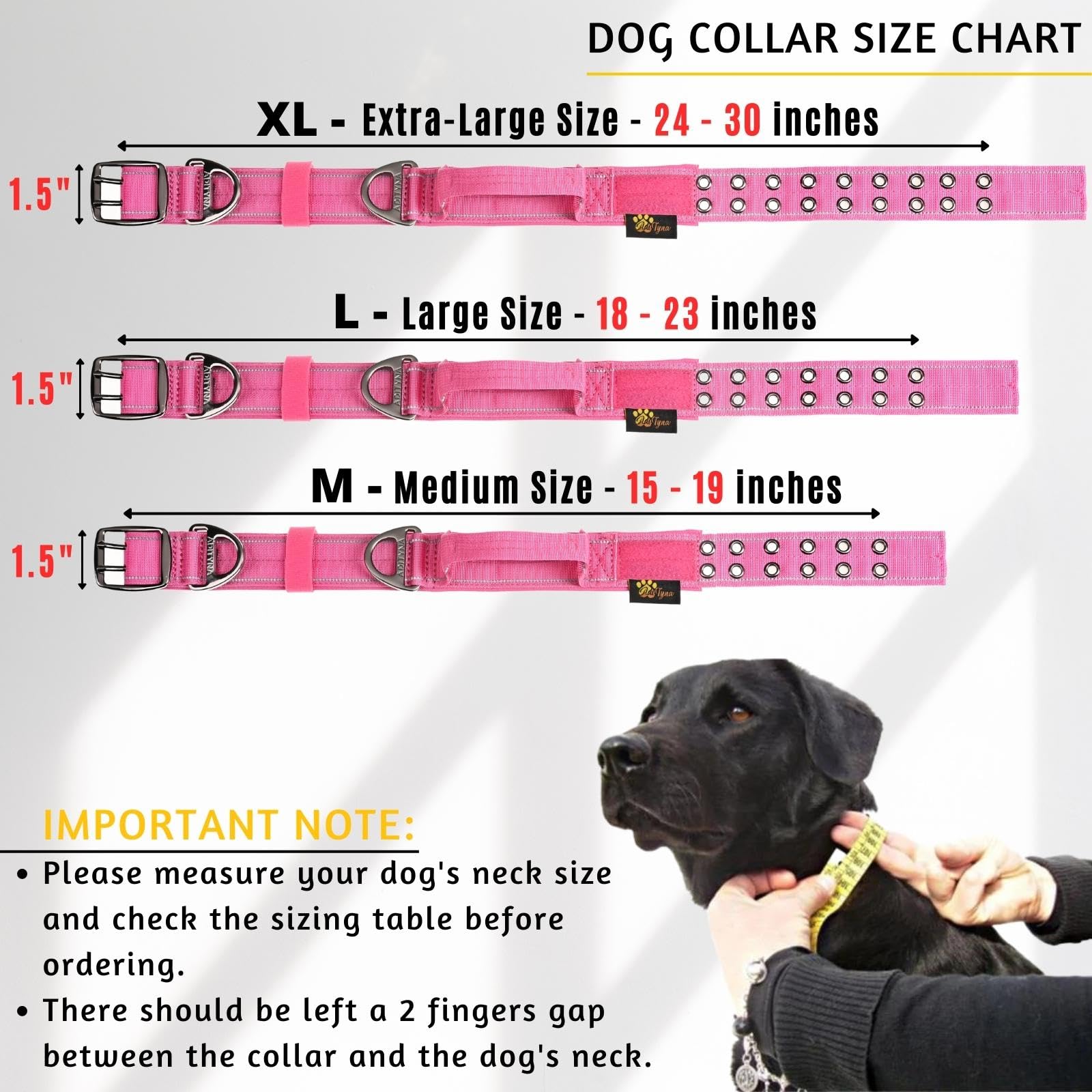 ADITYNA wide 1.5-inch neoprene-padded collar provides comfortable support for large dogs