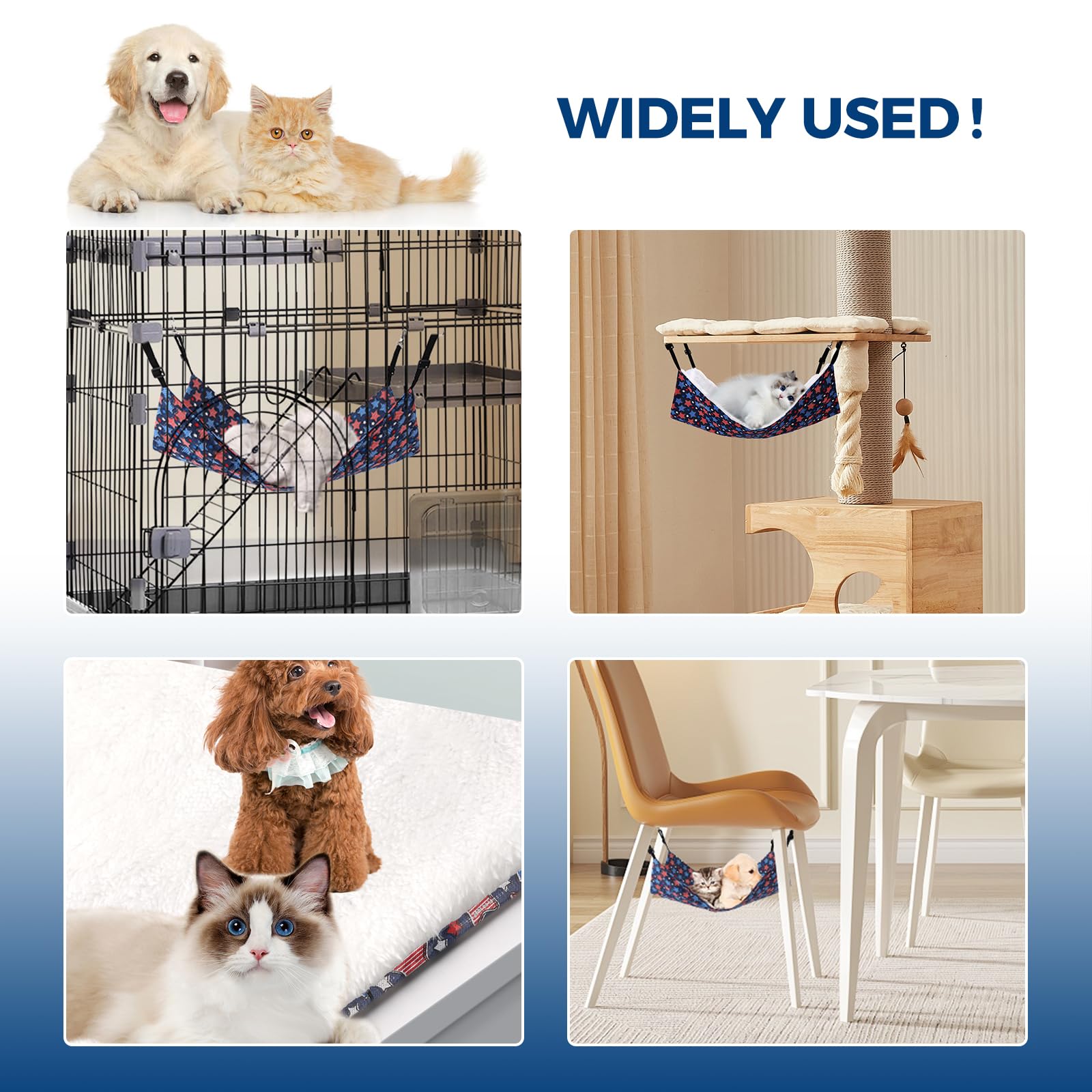 Admaison star-pattern hammock promotes relaxing sleep for small pets.