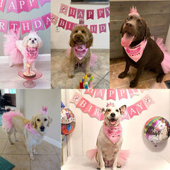 ADOGGYGO birthday banner for dogs adds festive backdrop.