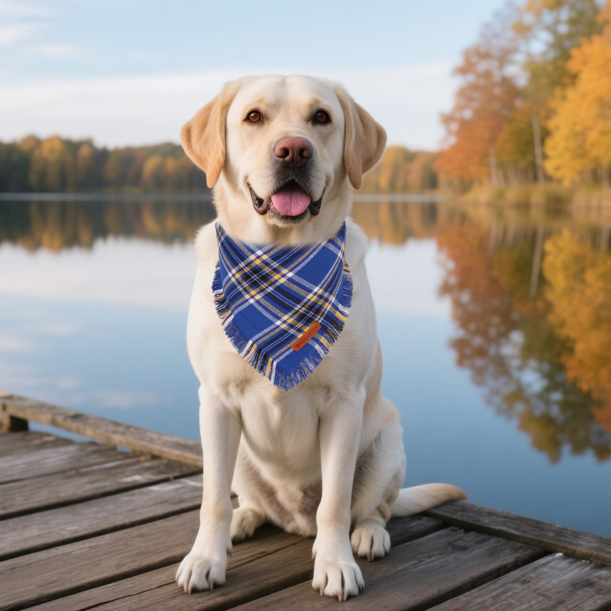 ADOGGYGO blue plaid bandana tassel edges side view ideal for photoshoots.