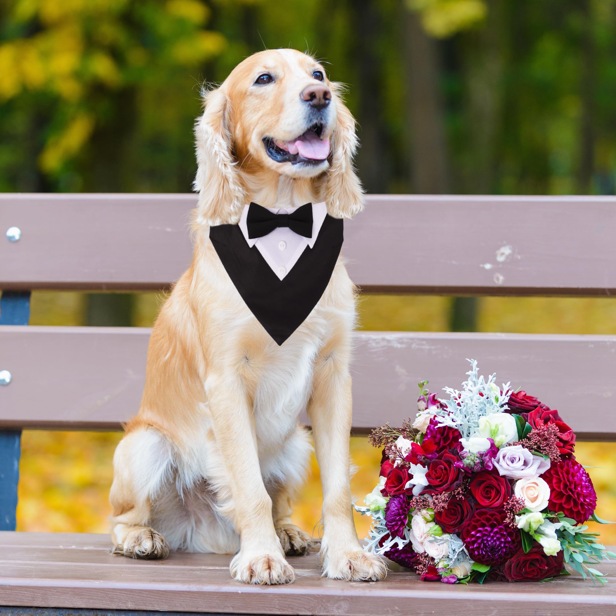 ADOGGYGO adjustable tuxedo collar provides a secure, comfy fit.