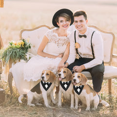 ADOGGYGO easy-closure tuxedo with hook-and-loop strap for quick dressing