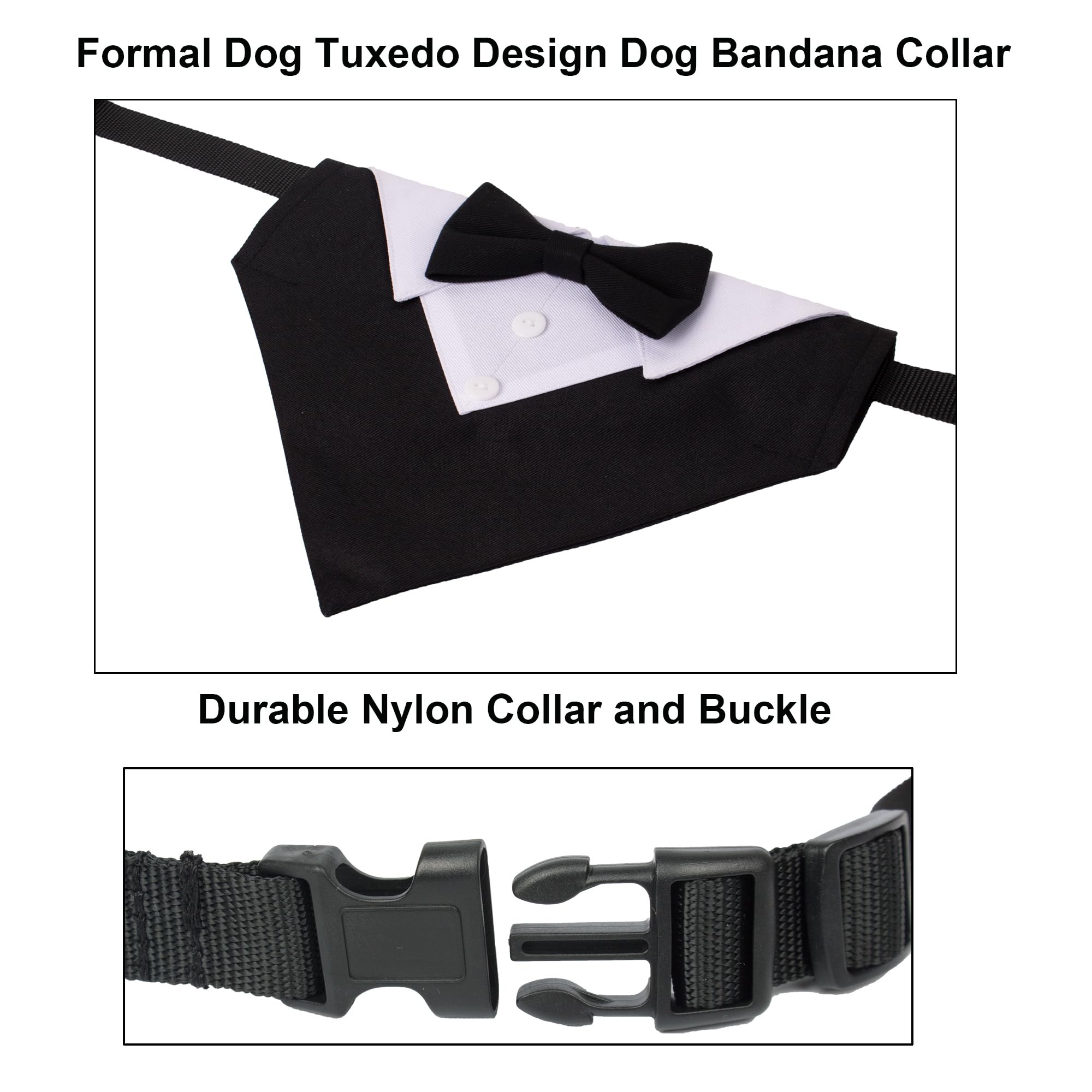 ADOGGYGO nylon webbing offers durable, lightweight wear.