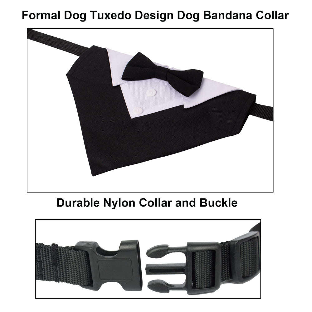 ADOGGYGO nylon webbing offers durable, lightweight wear.