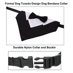 ADOGGYGO nylon webbing offers durable, lightweight wear.