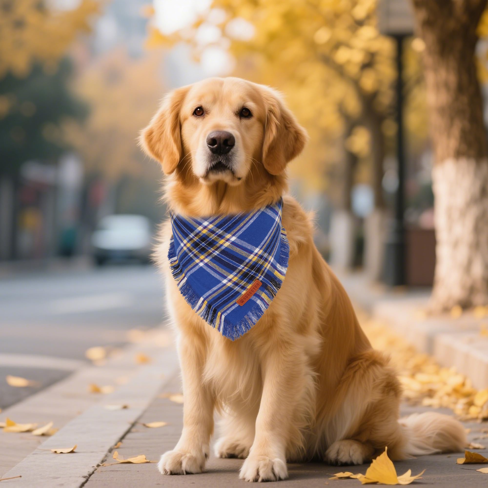 ADOGGYGO soft cotton bandana XL size for comfortable all-day wear.