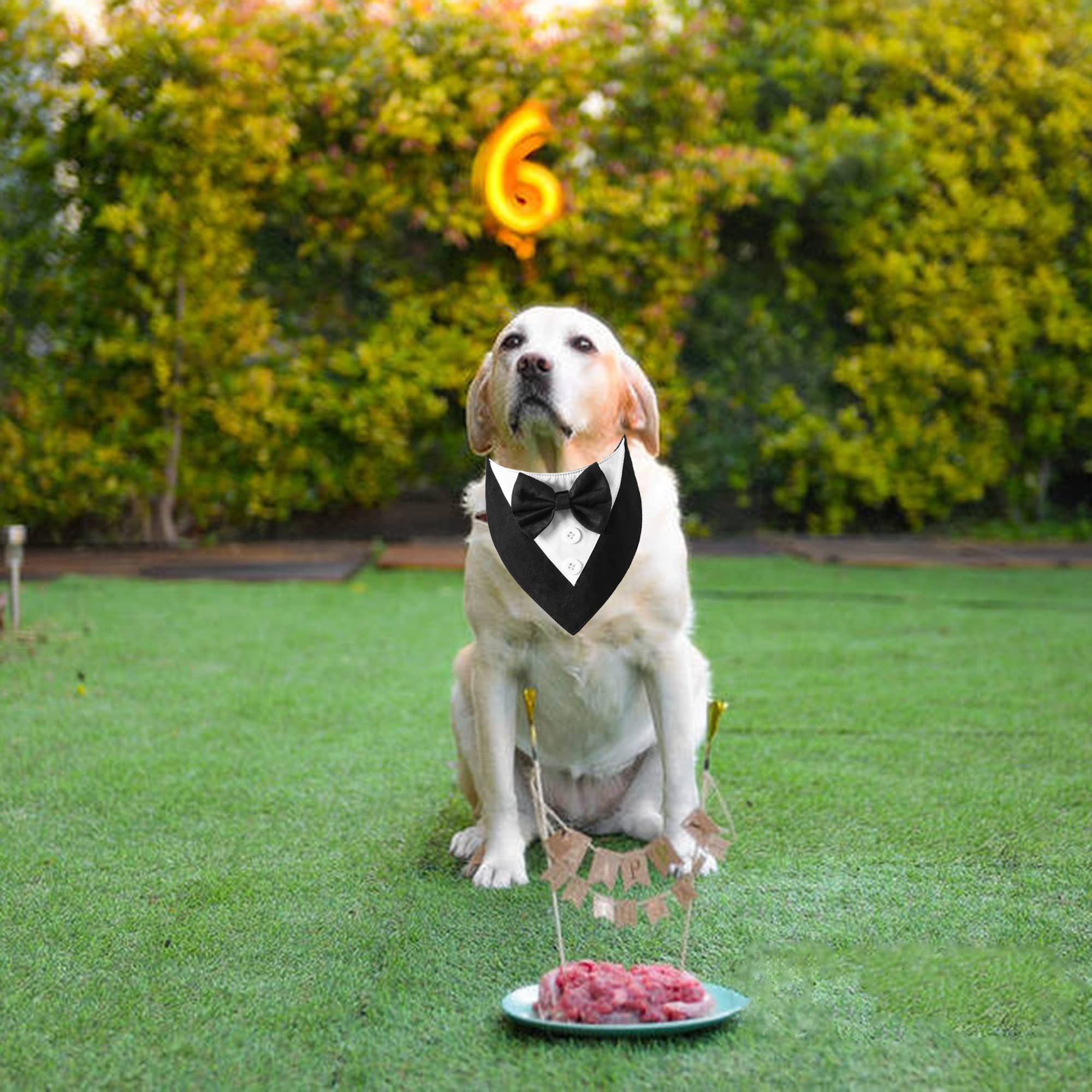 ADOGGYGO soft cotton-polyester fabric keeps dogs comfortable all day