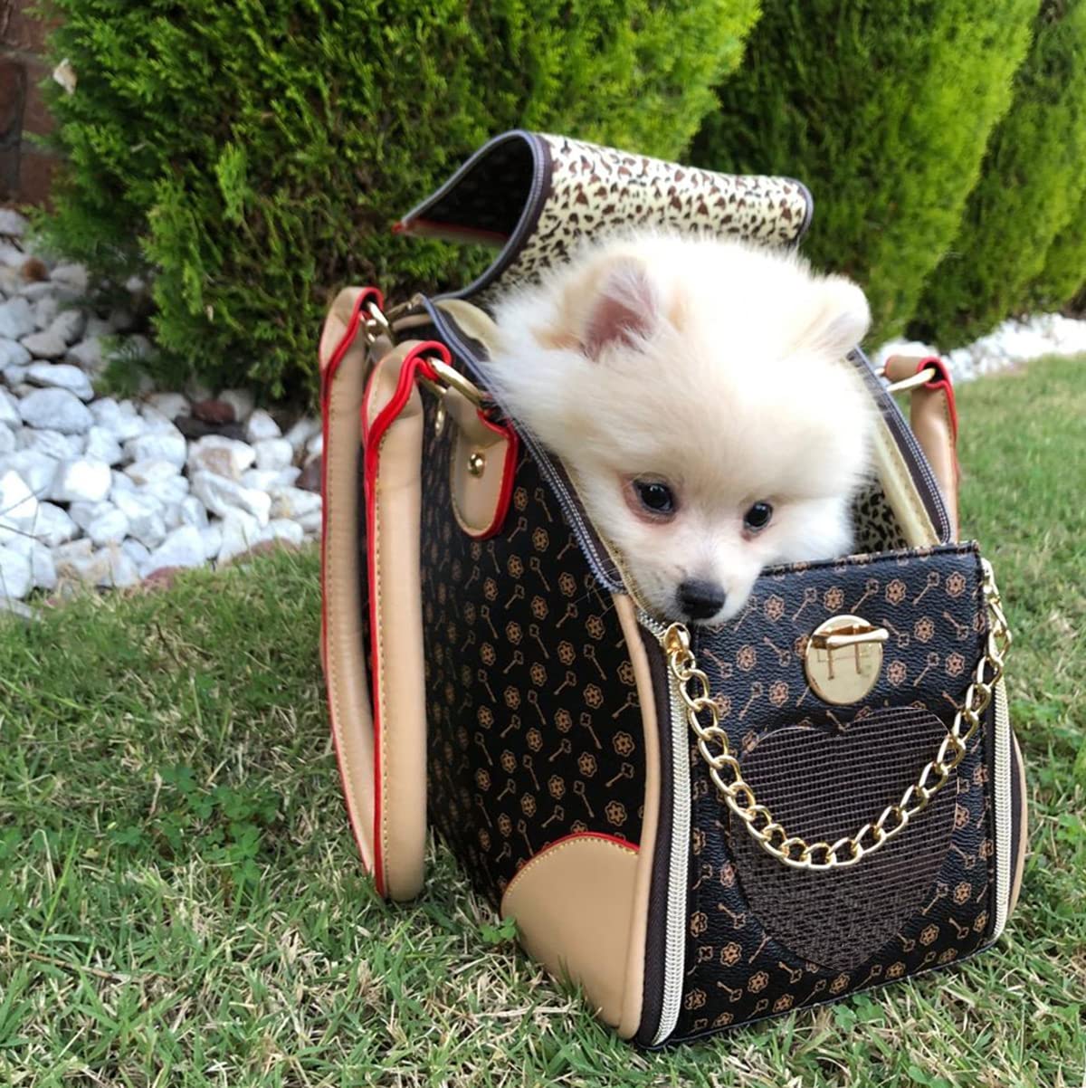 Adriene's Choice carrier side pocket view highlights convenient storage.