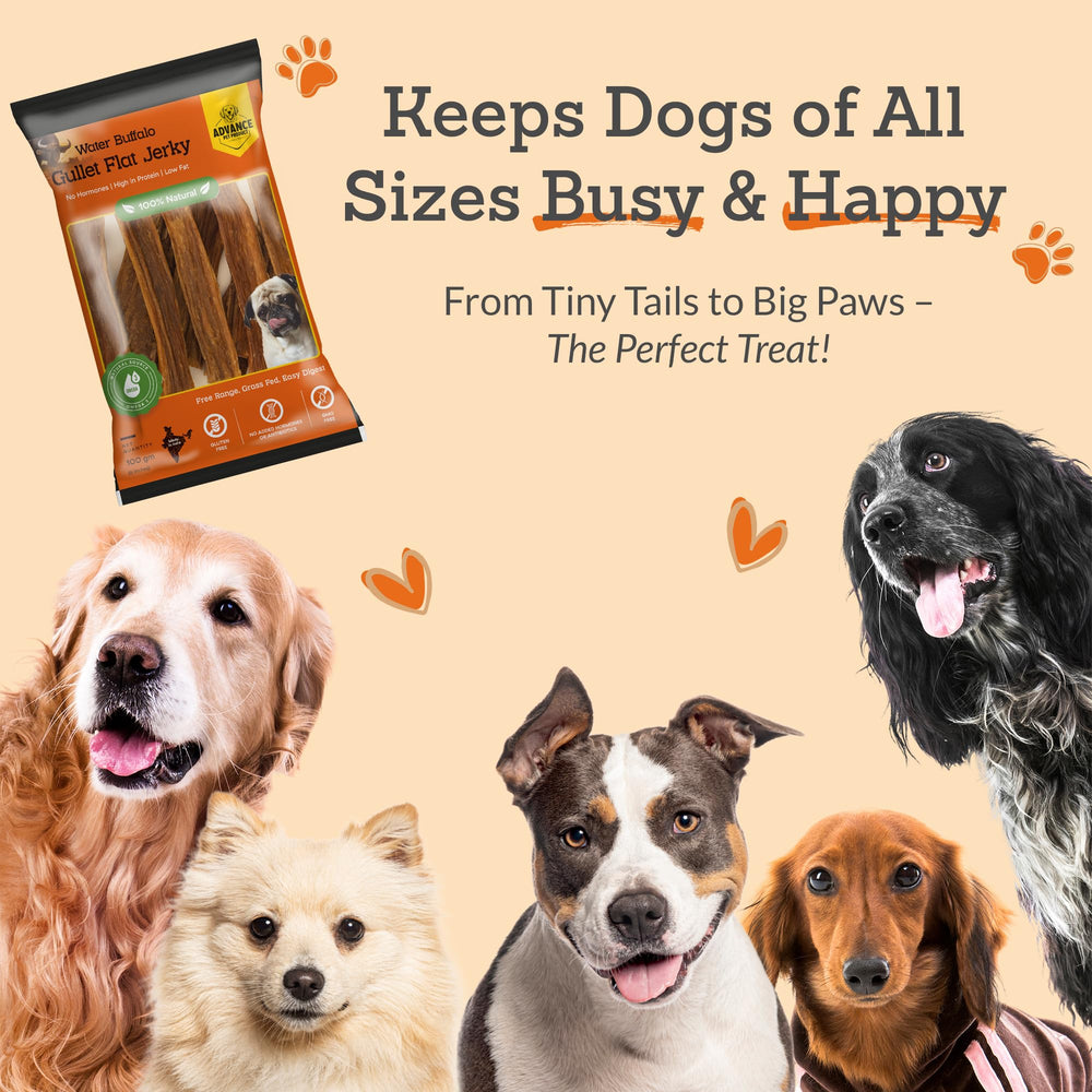 Advance Pet Products jerky for training rewards across all breeds