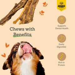 30-count buffalo gullet jerky pack from Advance Pet Products on display