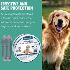 Advanllent adjustable dog flea collar demonstrates a one-size-fits-all design