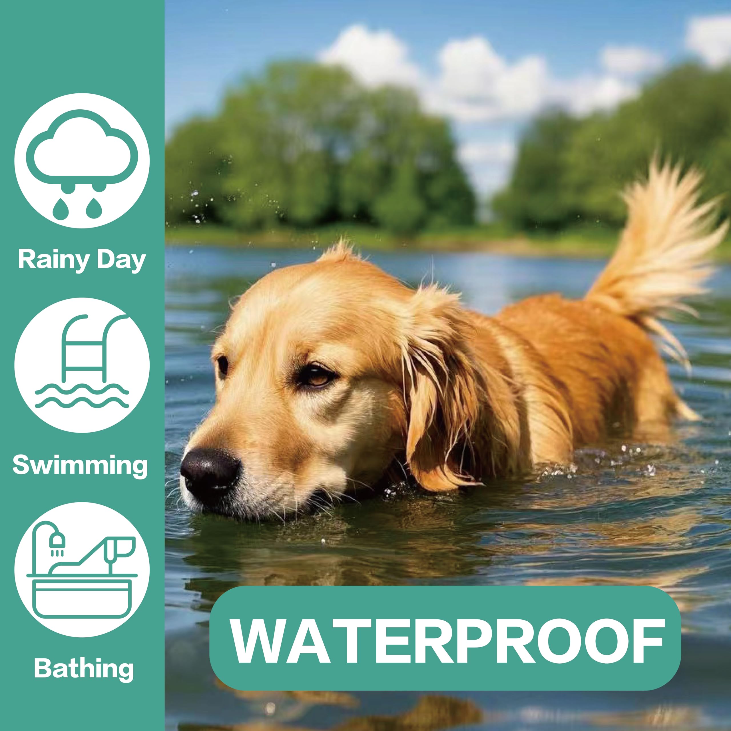 Advanllent dog flea collar in wet conditions confirms ongoing protection