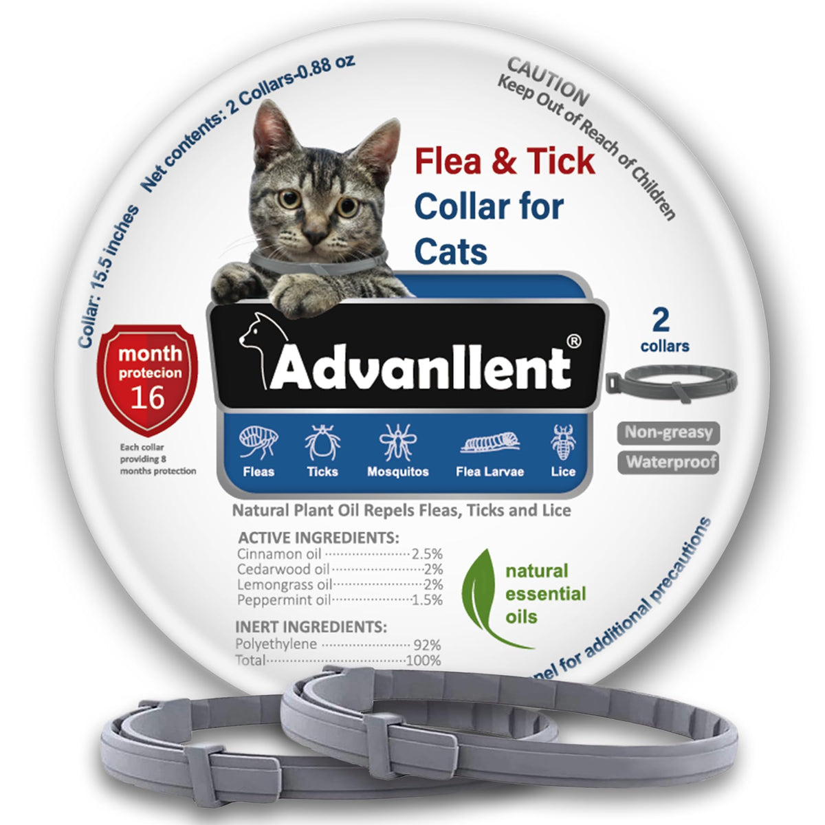 Advanllent flea collar on a cat neck for continuous protection.