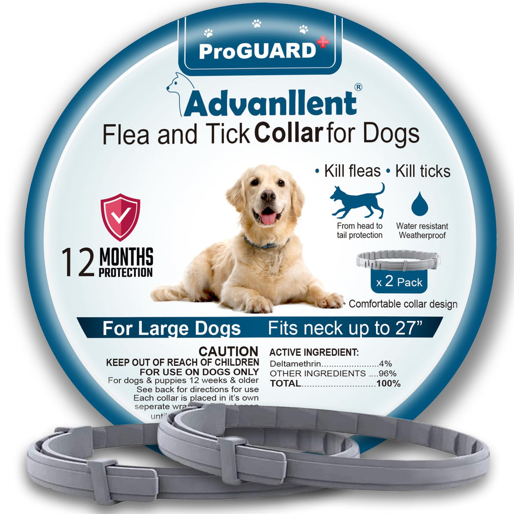 Advanllent flea collar packaging for dogs showing 12 months of prevention