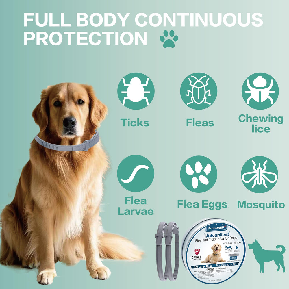 Advanllent flea collar worn on a dog's neck offering all-season protection