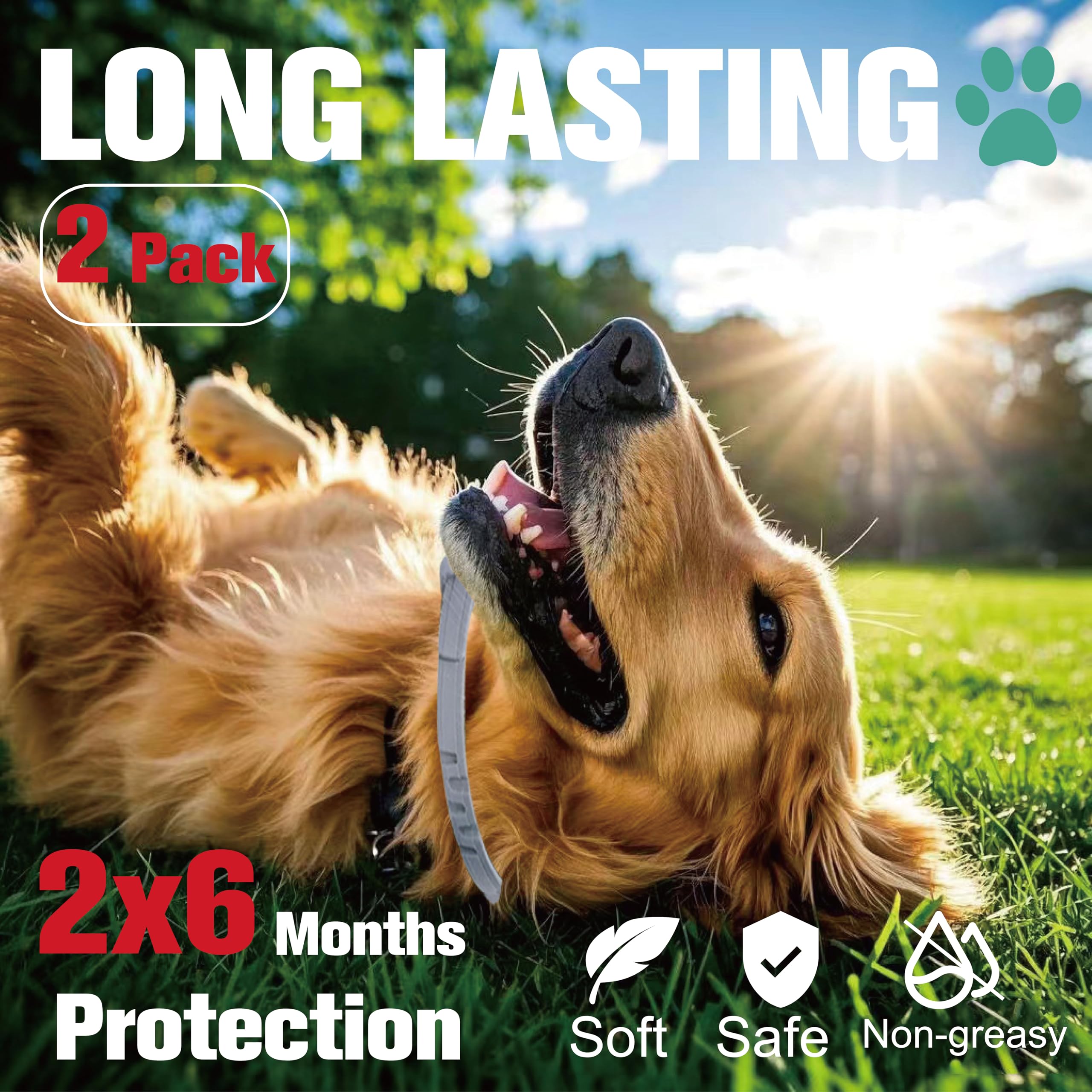Advanllent flea collar close-up highlighting waterproof material for outdoor wear