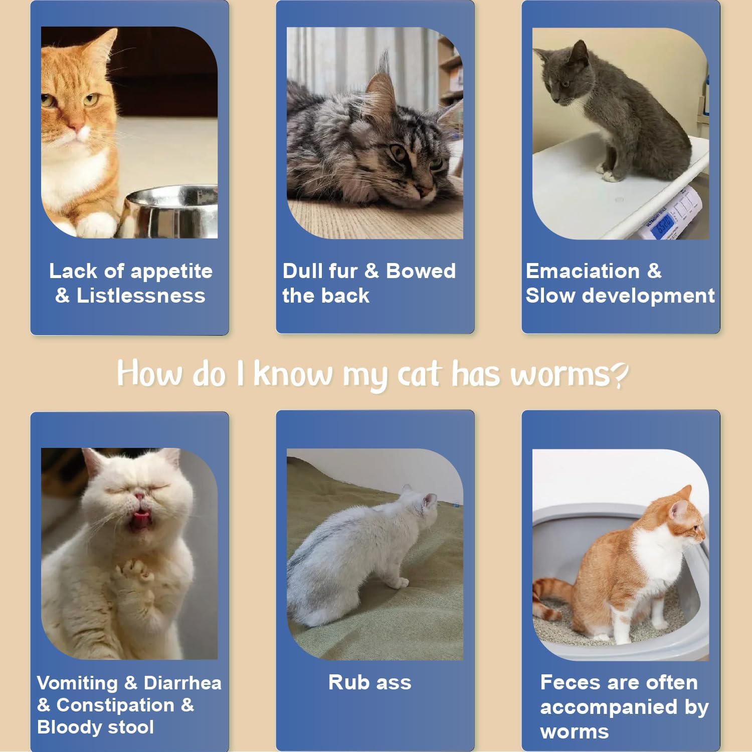 Kitten-safe Advanllent collar designed for comfort and skin-friendly oils.
