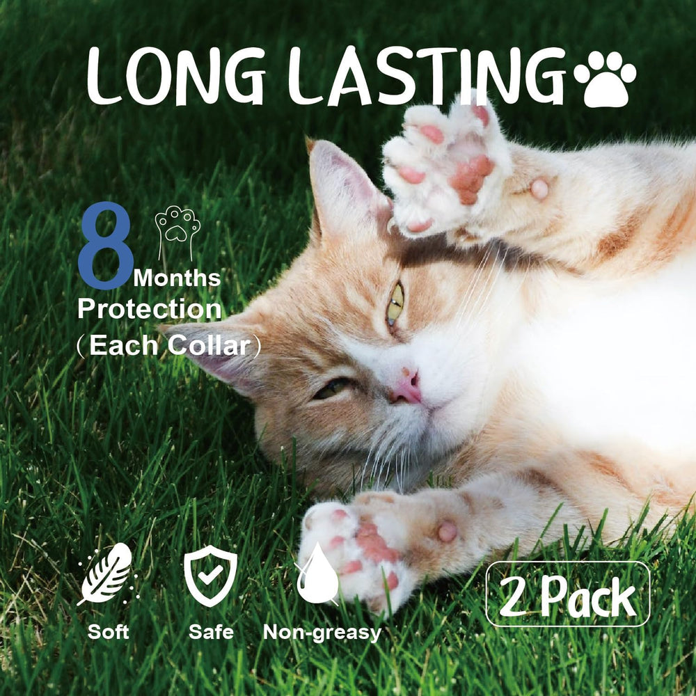 One size fits all Advanllent feline collar adjustable for kittens and cats.