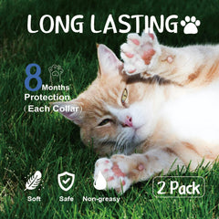 One size fits all Advanllent feline collar adjustable for kittens and cats.