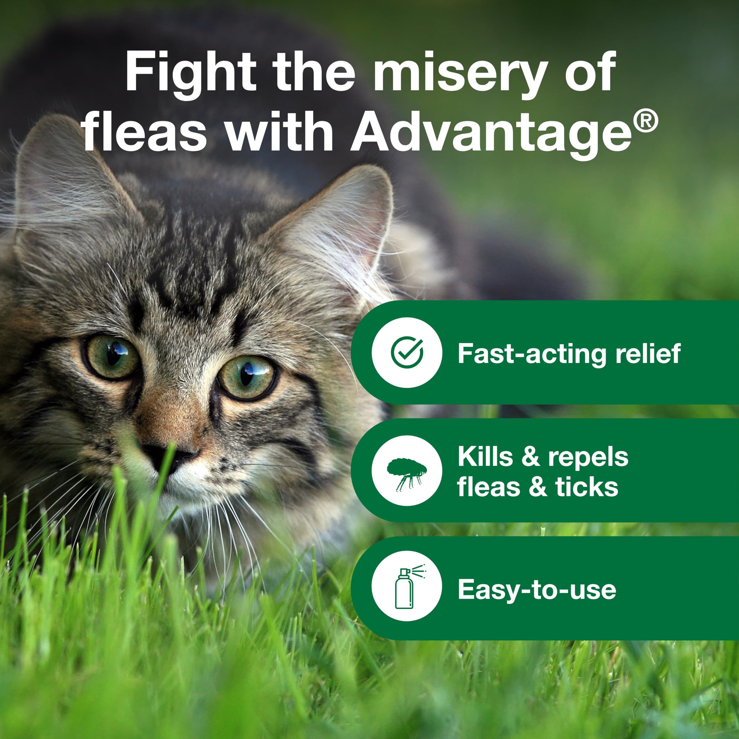 Advantage Cat Flea Spray supports a complete flea program at home.